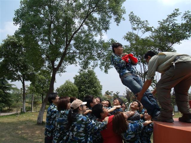 信任背摔